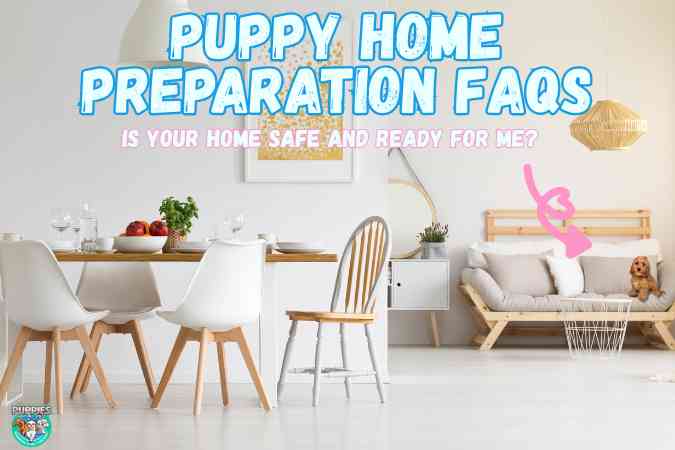Puppy Home Preparation